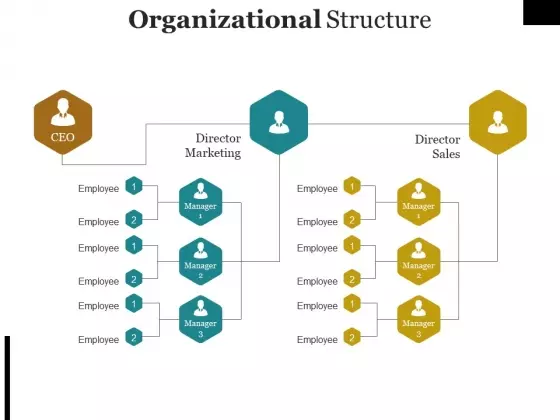 Organizational Structure Template Ppt PowerPoint Presentation File Graphics Tutorials