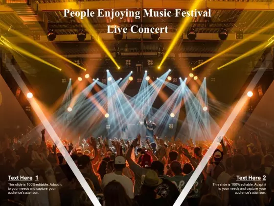 People Enjoying Music Festival Live Concert Ppt PowerPoint Presentation Icon Examples PDF