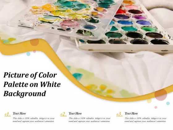 Picture Of Color Palette On White Background Ppt PowerPoint Presentation Show Ideas PDF