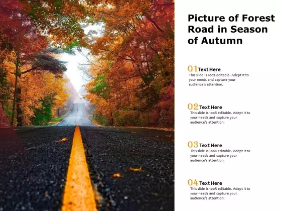 Picture Of Forest Road In Season Of Autumn Ppt PowerPoint Presentation Infographic Template Show PDF
