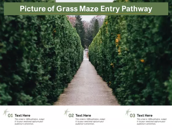 Picture Of Grass Maze Entry Pathway Ppt PowerPoint Presentation Layouts Design Templates PDF