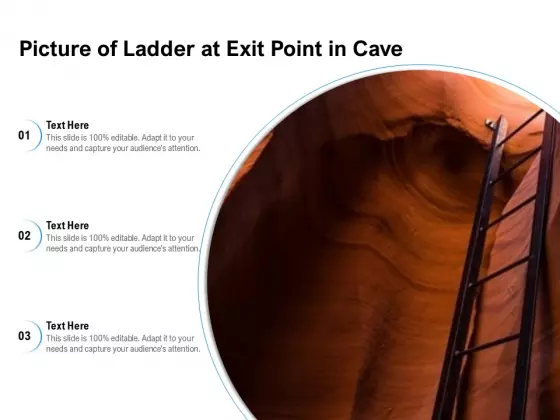 Picture Of Ladder At Exit Point In Cave Ppt PowerPoint Presentation Icon Show PDF