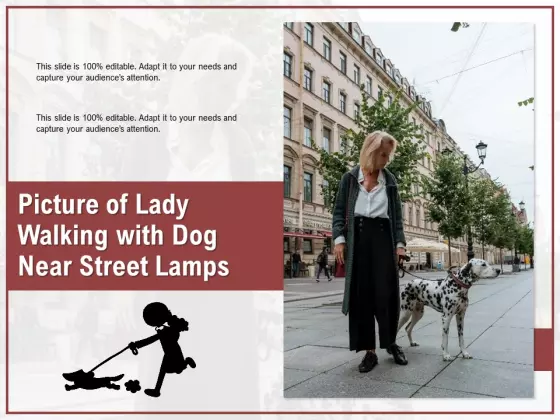 Picture Of Lady Walking With Dog Near Street Lamps Ppt PowerPoint Presentation Gallery Pictures PDF