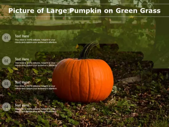 Picture Of Large Pumpkin On Green Grass Ppt PowerPoint Presentation File Samples PDF