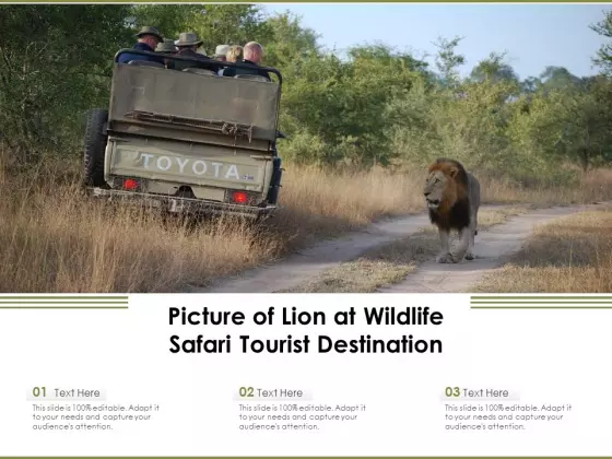 Picture Of Lion At Wildlife Safari Tourist Destination Ppt PowerPoint Presentation Model Images PDF