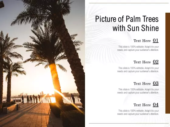 Picture Of Palm Trees With Sun Shine Ppt PowerPoint Presentation Icon Gridlines PDF
