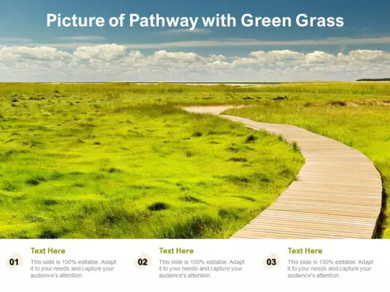 Picture Of Pathway With Green Grass Ppt PowerPoint Presentation Backgrounds PDF