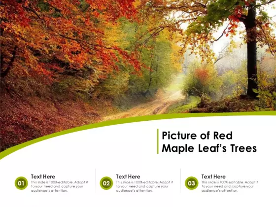 Picture Of Red Maple Leafs Trees Ppt PowerPoint Presentation Icon Infographics PDF