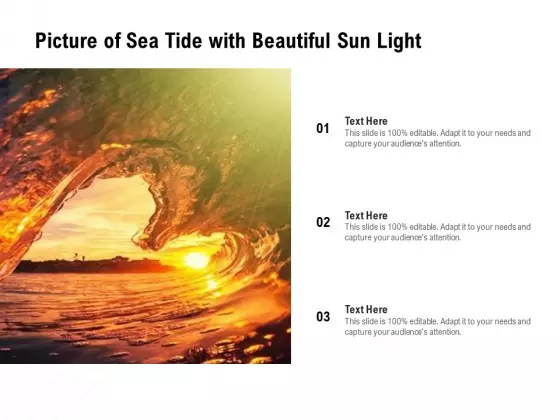 Picture Of Sea Tide With Beautiful Sun Light Ppt PowerPoint Presentation Visuals PDF