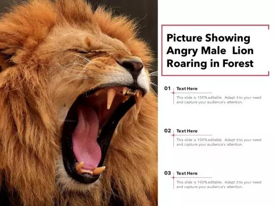 Picture Showing Angry Male Lion Roaring In Forest Ppt PowerPoint Presentation Show Tips PDF