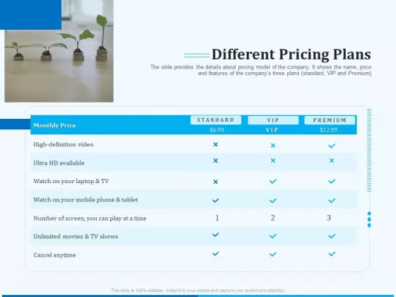 Pitch Deck For Seed Financing Different Pricing Plans Demonstration PDF