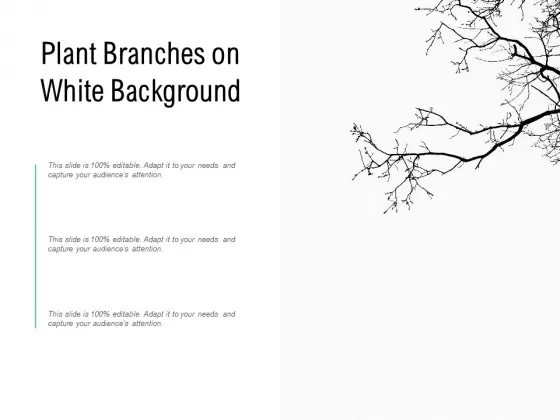 Plant Branches On White Background Ppt PowerPoint Presentation Portfolio Graphics Pictures