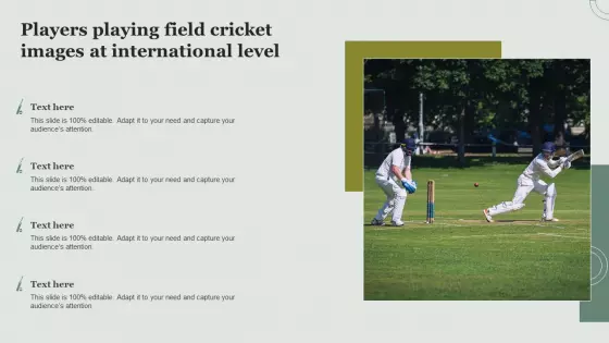Players Playing Field Cricket Images At International Level Professional PDF
