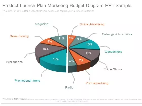 Product Launch Plan Marketing Budget Diagram Ppt Sample