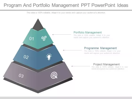 Program And Portfolio Management Ppt Powerpoint Ideas
