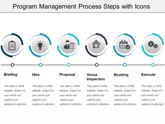Program Management Process Steps With Icons Ppt PowerPoint Presentation Gallery Graphics Example