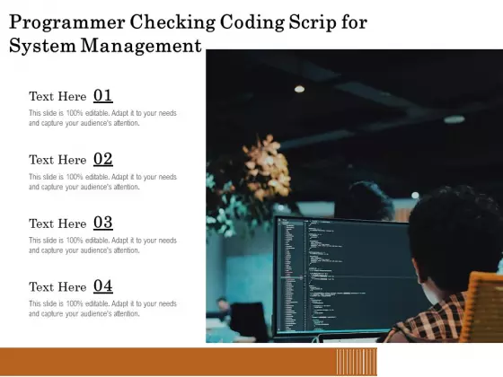 Programmer Checking Coding Scrip For System Management Ppt PowerPoint Presentation Portfolio Background Images PDF