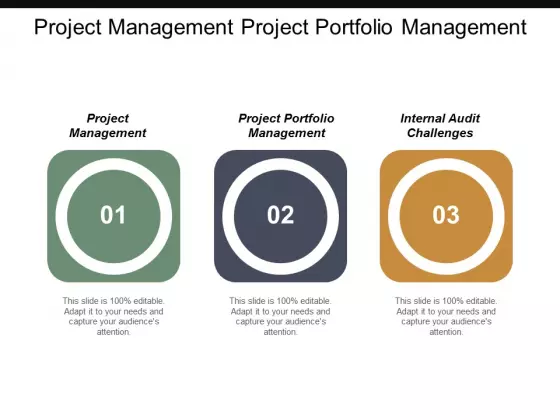 Project Management Project Portfolio Management Internal Audit Challenges Ppt PowerPoint Presentation Portfolio Slide