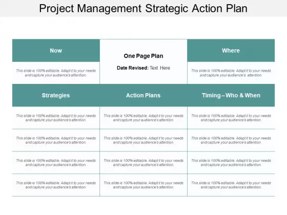 Project Management Strategic Action Plan Ppt Powerpoint Presentation Designs