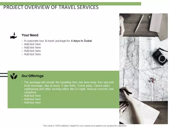 Project Overview Of Travel Services Ppt PowerPoint Presentation Ideas Information
