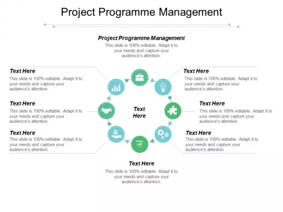 Project Programme Management Ppt PowerPoint Presentation Design Templates Cpb