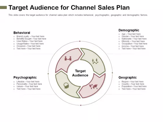 Promotional Channels And Action Plan For Increasing Revenues Target Audience For Channel Sales Plan Professional PDF