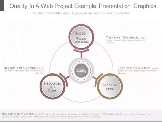 Quality In A Web Project Example Presentation Graphics