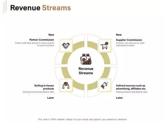 Raise Capital For Business Revenue Streams Ppt Summary Professional PDF