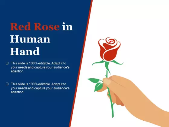 Red Rose In Human Hand Ppt PowerPoint Presentation Styles Slides