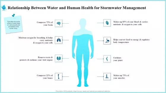 Relationship Between Water And Human Health For Stormwater Management Template PDF