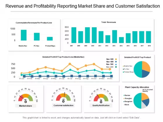Revenue And Profitability Reporting Market Share And Customer Satisfaction Ppt PowerPoint Presentation Styles Format Ideas