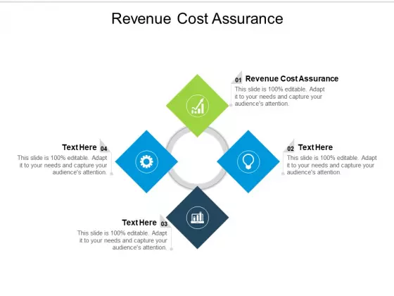 Revenue Cost Assurance Ppt PowerPoint Presentation File Structure Cpb