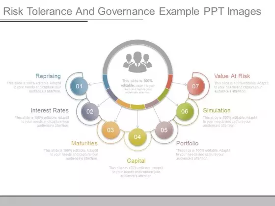 Risk Tolerance And Governance Example Ppt Images