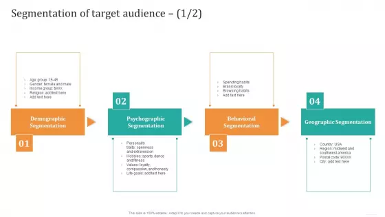Segmentation Of Target Audience Graphics PDF