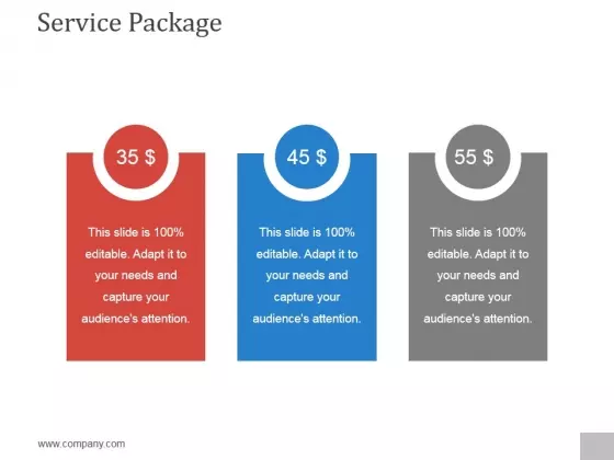 Service Package Template 1 Ppt PowerPoint Presentation Guide