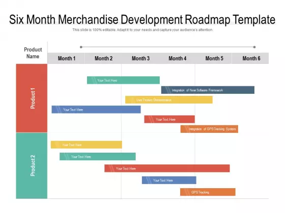 Six Month Merchandise Development Roadmap Template Summary