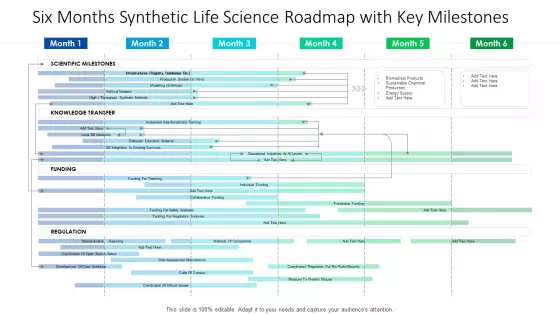Six Months Synthetic Life Science Roadmap With Key Milestones Guidelines