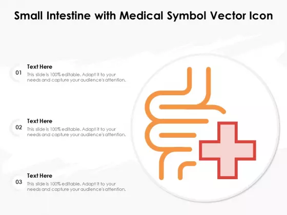 Small Intestine With Medical Symbol Vector Icon Ppt PowerPoint Presentation Summary Design Inspiration PDF