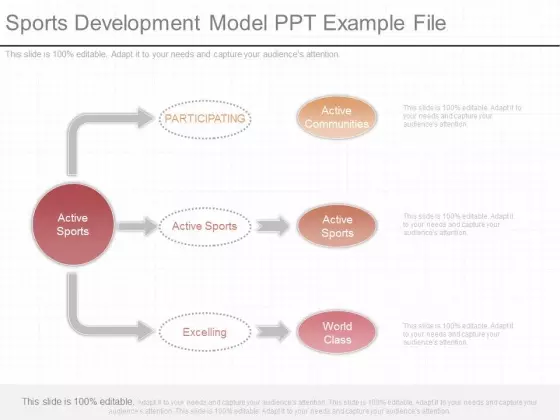 Sports Development Model Ppt Example File