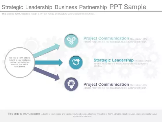 Strategic Leadership Business Partnership Ppt Sample