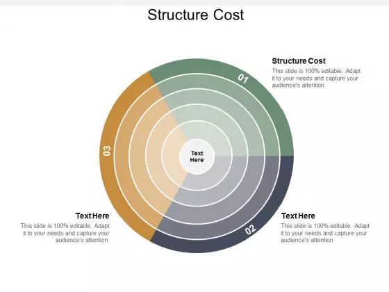 Structure Cost Ppt Powerpoint Presentation Summary Deck Cpb