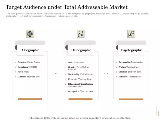 Subordinated Loan Funding Target Audience Under Total Addressable Market Ppt Show Master Slide PDF