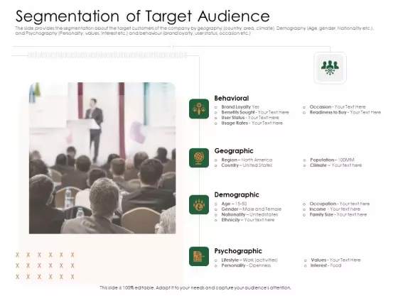 Substitute Financing Pitch Deck Segmentation Of Target Audience Inspiration PDF