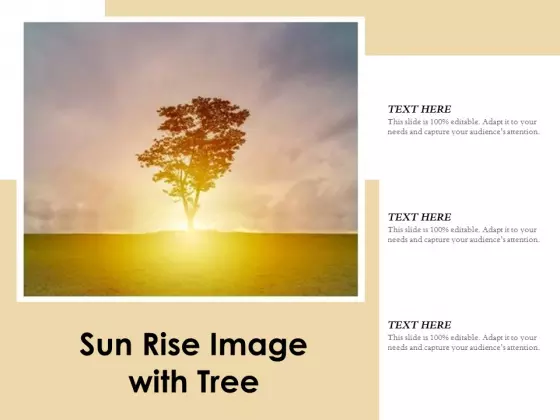 Sun Rise Image With Tree Ppt PowerPoint Presentation Infographic Template Vector PDF