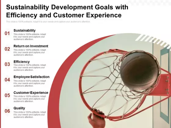 Sustainability Development Goals With Efficiency And Customer Experience Ppt PowerPoint Presentation Styles Diagrams PDF