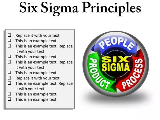 Six Sigma Principles Business PowerPoint Presentation Slides C