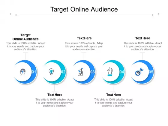 Target Online Audience Ppt PowerPoint Presentation Professional Template Cpb