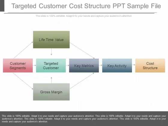 Targeted Customer Cost Structure Ppt Sample File