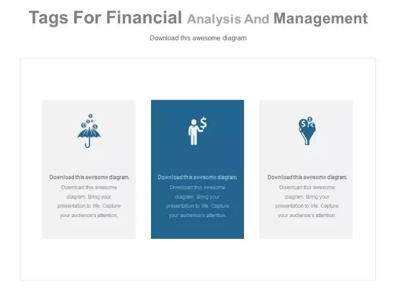 Three Types Of Financial Strategies Powerpoint Slides