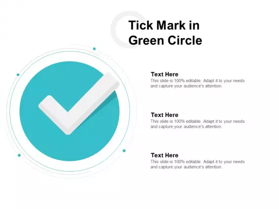 Tick Mark In Green Circle Ppt PowerPoint Presentation Ideas Example